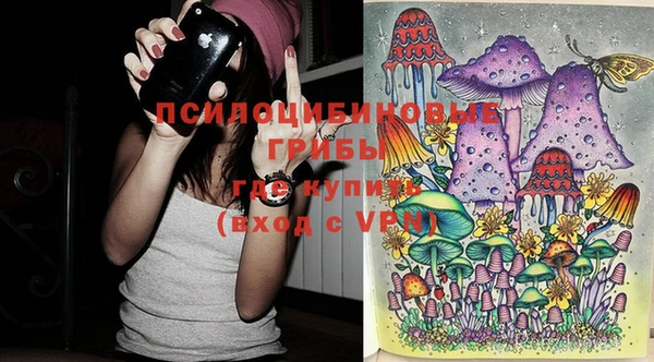 шишки Армянск